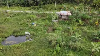 DAYAK DAN BERLADANG