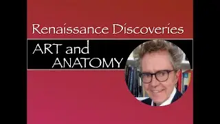 Renaissance Discoveries: Art and Anatomy