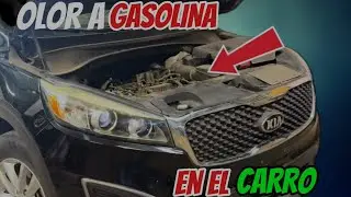 Problema en bomba de gasolina Kia sorento 2016 al 2020