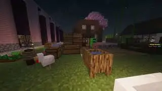 Our Minecraft World Showcase
