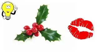 The Magic of Mistletoe: Why We Kiss Under It!