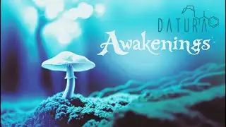 Awakenings : An Excursion Into Psychedelic Bass and Dub // Best Psydub/Psybient/Psystep Radio Show