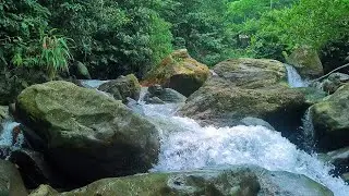 Peaceful River at Night – Moonlit Flowing Water Ambience for Restful, Deep Sleep