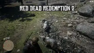 Red Dead Redemption 2 - What to do when you are hunted!