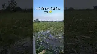 tharad  banasknatha news#trending #trendingshorts #shortvideo #shorts #kisan #tharad #banaskantha #
