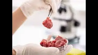 Lab grown meat and climate change