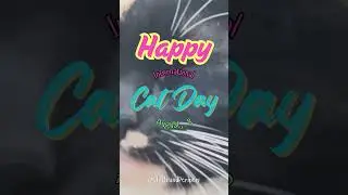 Happy International Cat Day 2025!