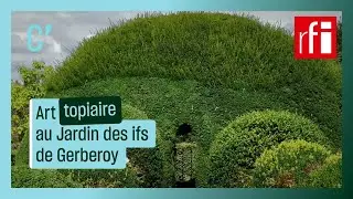 Art topiaire au Jardin des ifs de Gerberoy • RFI