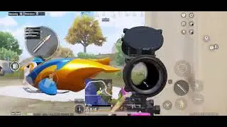 Highlights #4