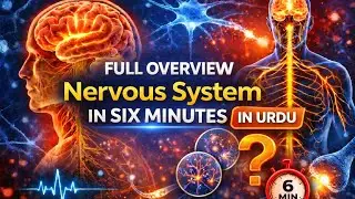 Nervous System Explained in 6 Minutes (Hindi/Urdu)