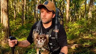 🐶 Weekend Bush Adventure with My Chihuahua | Yabby Hunting & Campfire Cooking