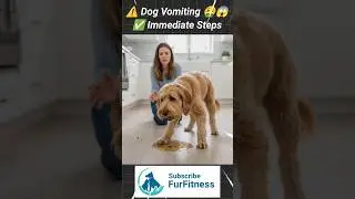 Dog Ulti Kare To Kya Kare? Dog Vomiting Full Treatment At Home | Dog Vomiting And Not Eating #pets