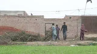 A Group of People Cleaning up the Tree Branches Volunteer - Keep India Clean & Green