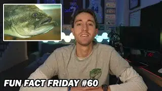 Fun Fact Friday #60 - Largemouth Bass