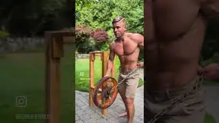 WEIGHTED DIPS