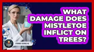 What Damage Does Mistletoe Inflict On Trees?