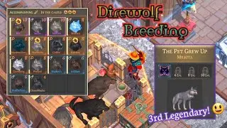 Grim Soul - Direwolf Breeding [3] | 3rd Legendary Wolfling!
