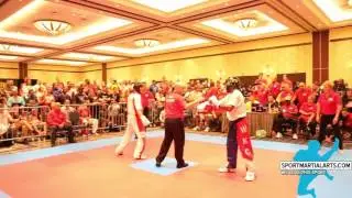 2015 WKC World Championships Finals Mens Speed Fighting UK v Willie Hicks
