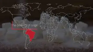 Sugar Supplier