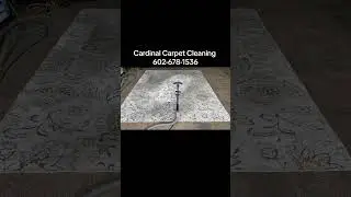 North Glendale Area rug cleaning Drop Off ￼