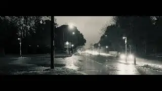 Pelicans in the rain (Ambient electronica: AUM, Loopmix, Koala sampler, K7Delay, EOS, Blackhole)