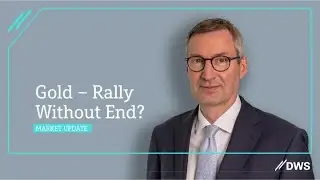 Gold &ndash; Rally Without End?