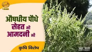 Krishi Vishesh | कृषि विशेष: औषधीय पौधे सेहत भी आमदनी भी | DD Kisan |  January 08, 2026