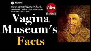 Vagina Museum In London Shared How The Female Reproductive Organs Named After Men || Bird English ||