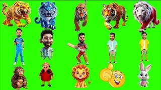 सभी क्रिकेटर को शेरो ने घेर लिया 😱🥹😭 #shortvideo #youtube #trending #viralvideo #viral 