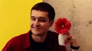 Shapster - Картон