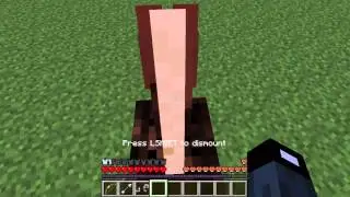 Minecraft: 13w16a Snapshot, Trick Rider Isaac