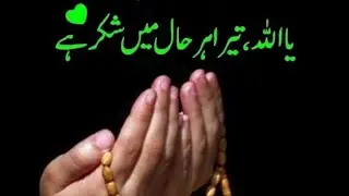 تہجد کے وقت کی تلاوت اور حلاوت نہ کوئ شور نہ ڈسربنس صرف اللہ رب العزت اور میری التجاء 