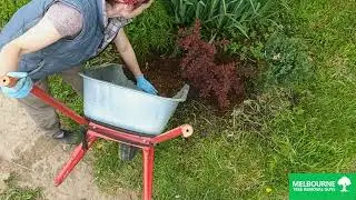 Tree Mulching Services in Narre Warren, Melbourne