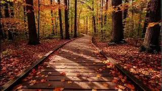 Serene Autumn Forest 🍁 Calm Music for Deep Focus, Meditation, and Stress Relief