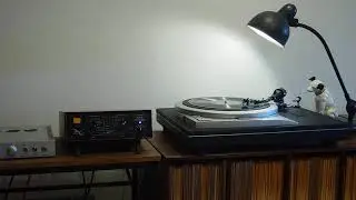 Black Beauty / Duke Ellington and his Famous Orchestra