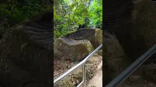 #travel #salikram #nature Nepal biggest salikram  at madi chitwan