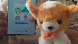 スマホケースとasmr