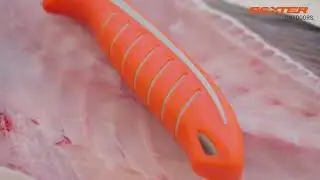 Dexter Outdoors 7