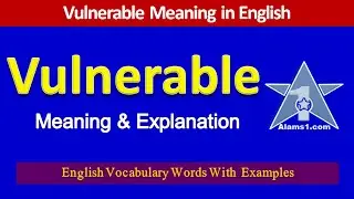 VULNERABLE Meaning in English & Explanation | Learn Vulnerable Pronunciation & Usage in Sentences