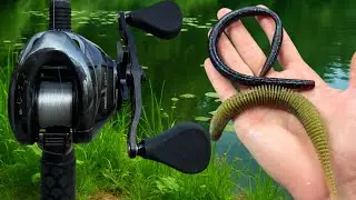 Fishing Giant Soft Plastics for Summer Bass!