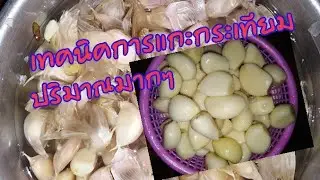 เทคนิค​การแกะกระเทียมปริมาณมากๆด้วยมือ