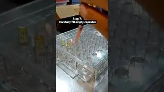 Capsule Tutorial Part 2