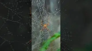 Mobile Photography Tricks🔥| Pro photography tutorial #beginnerphotography