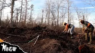 The Never Ending Brush Pile (Making Biochar For Soil Amendment)