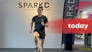 Cognitive-motor training exercise for the brain's executive function