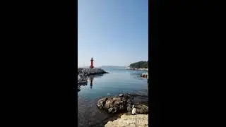 🌹공영규&스마트사진작가TV📸 ~집앞바닷가 #부산영도 동삼중리항 🐋🎣