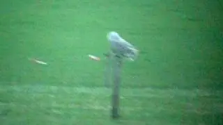 Sneeuwuil - Bubo scandiacus