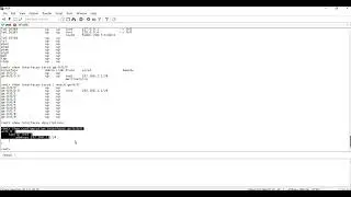 How to check interface configuration/parameters/ description/ arp on Juniper Routers and Switches