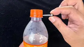 塑料瓶不要扔，加个螺丝钉放在阳台，一年省下不少事，方法太棒了