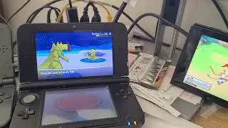 SHINY OCTILLERY 16 ENCOUNTERS[CHAIN FISHING]|QUEST FOR SHINY LIVING DEX #224